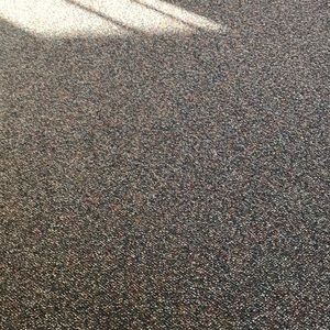 Meet your Posher, Rosemary